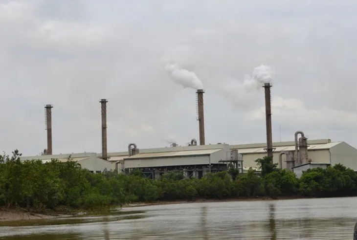 Vedan Vietnam Plants 1993